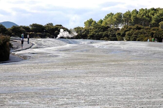 Wai-O-Tapu Geothermal Valley, & Hot River - Government Gardens for a final change of mood