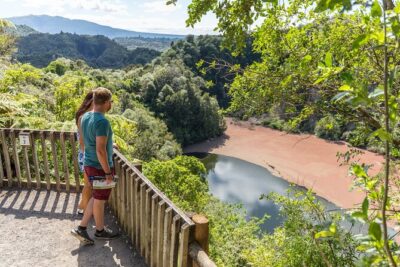 Waimangu Geothermal Valley & Lake Rotomahana Tour – 7hrs