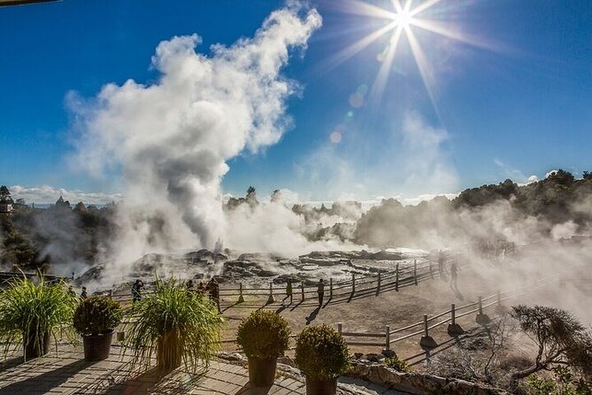 Waitomo Glow Worm Caves & Te Puia - Rotorua's Geothermal Valley - Key points at a glance