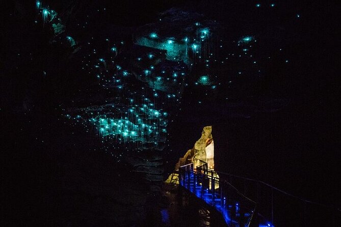 Waitomo Glow Worm Caves & Te Puia - Rotorua's Geothermal Valley - Te Puia’s geothermal valley in 90 minutes