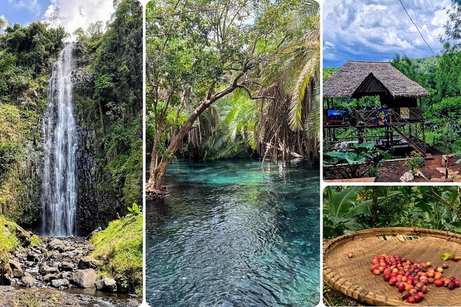 Waterfall, coffee tour & hot springs - lunch and drinks included - Key points to know before you book