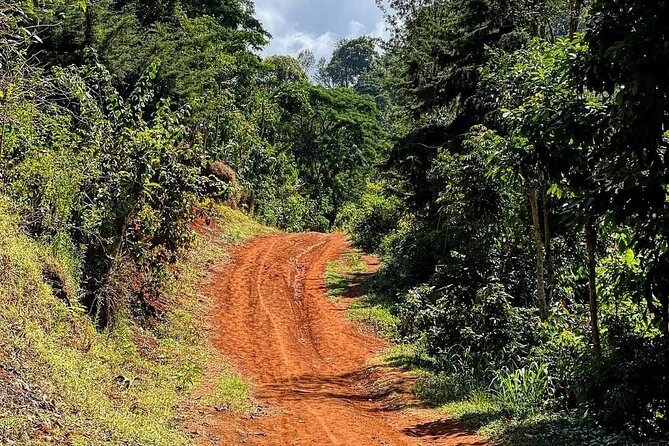 Waterfall, coffee tour & hot springs - lunch and drinks included - Frank and the value of a private guide