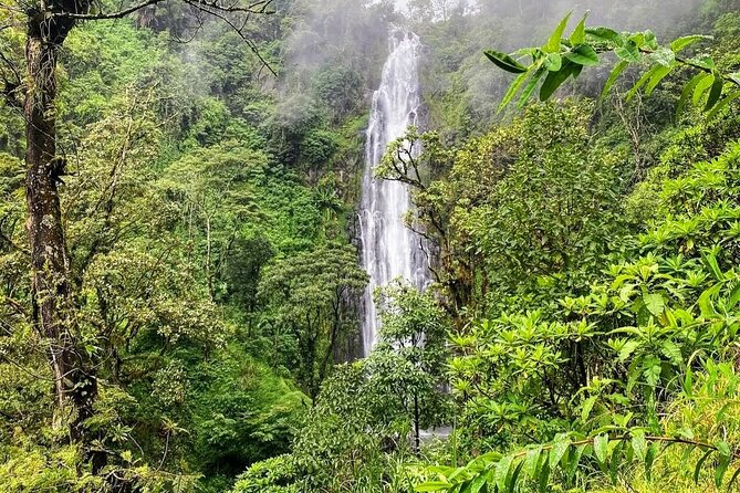 Waterfall, coffee tour & hot springs - lunch and drinks included - Who should book this experience?