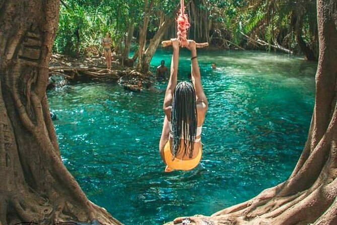 Waterfall, coffee tour & hot springs - lunch and drinks included - Coffee, roasting, and a Tanzanian lunch