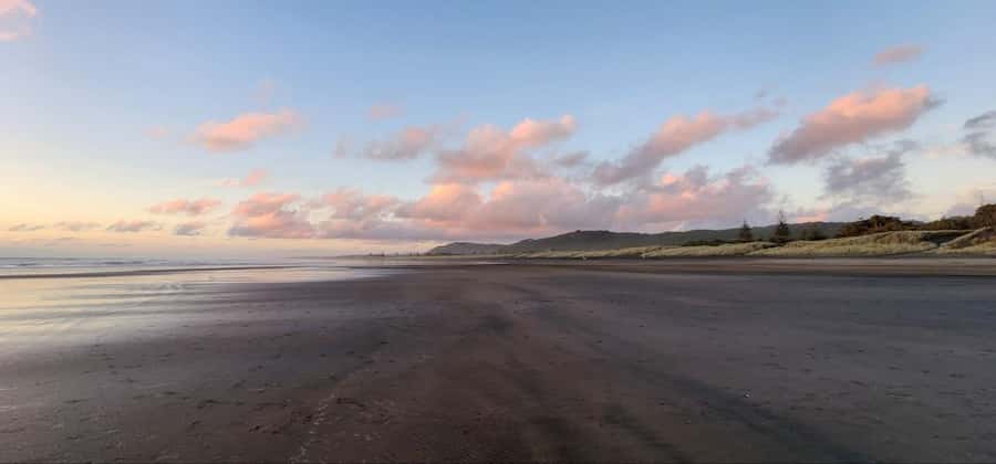 West Auckland: Sunset with Thermal pool & Wine Tasting - Who should book this experience?