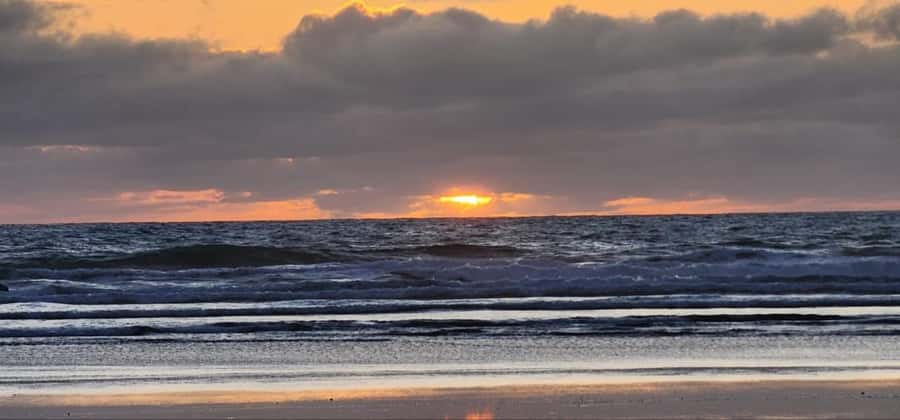 West Auckland: Sunset with Thermal pool & Wine Tasting - Should you book the West Auckland Twilight Relaxing tour?