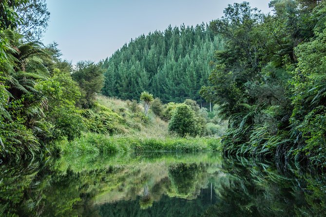 Whaka Geothermal Trails Self-Guided Tour - The Geothermal Sights and the Geyser Possibility