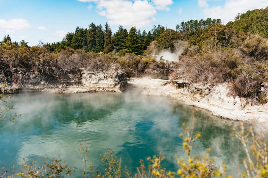 Whakarewarewa: Self-Guided Geothermal Trails - Key points to know before you go