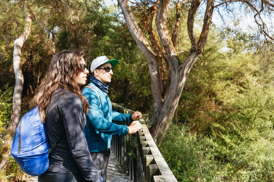 Whakarewarewa: Self-Guided Geothermal Trails - A Jurassic Park-like route through steam and bush