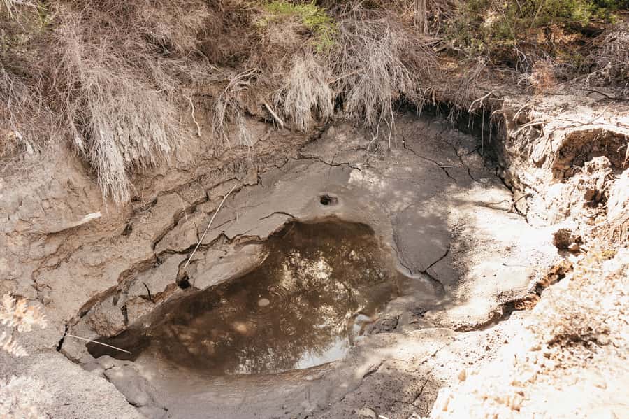 Whakarewarewa: Self-Guided Geothermal Trails - Information boards instead of a live guide
