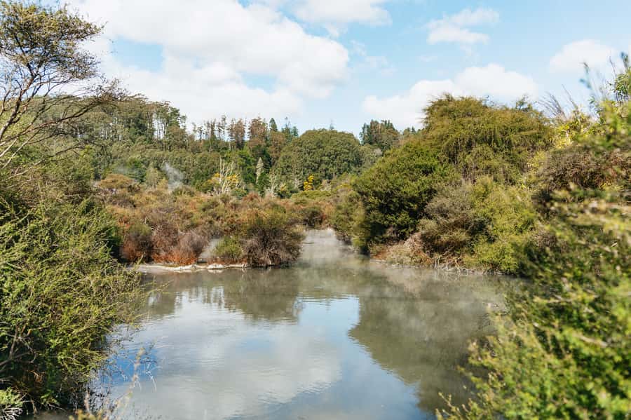 Whakarewarewa: Self-Guided Geothermal Trails - Who will enjoy the self-guided trails?