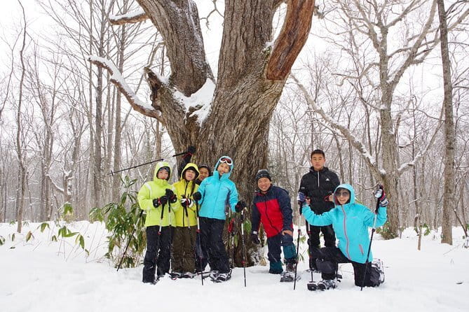 Winter Holiday Snowmobiling in Nozawa Onsen Area - What the $162.40 price really covers