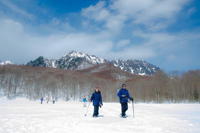 Winter Holiday Snowmobiling in Nozawa Onsen Area - Who will enjoy this winter day most