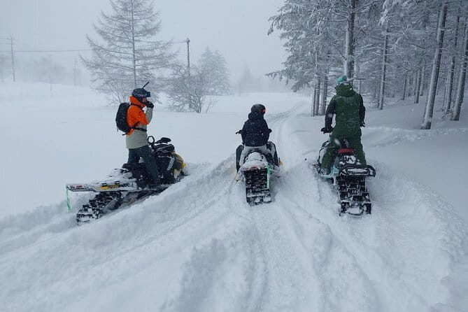 Winter Holiday Snowmobiling in Nozawa Onsen Area - Practical details that affect your decision