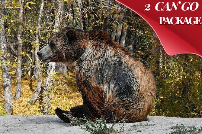 Yellowstone, Grand Teton, and Hot Springs: Small Group 5-Day Tour - What the Five-Day Route Does Well