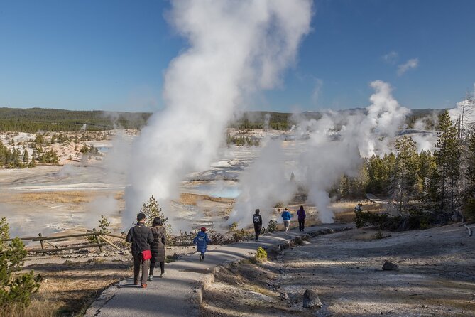 Yellowstone in a Day - Wildlife, Canyons, & Hot Springs - Why this one-day Yellowstone tour works
