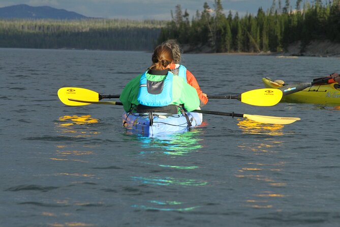Yellowstone Lake & Hot Springs / 3 Hour Morning or Twilight Tour - Weather is the deciding factor
