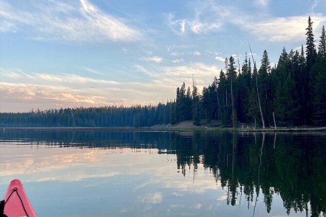 Yellowstone Lake & Hot Springs / 3 Hour Morning or Twilight Tour - The guide makes the difference