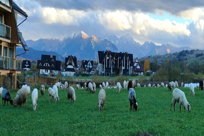 Zakopane and Thermal Pools Tour with Hotel Pickup - Key points at a glance