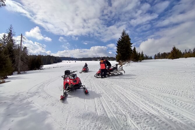 Zakopane Snowmobile Tour and Thermal Baths from Krakow - Snowmobiles near Witów: the day’s main thrill