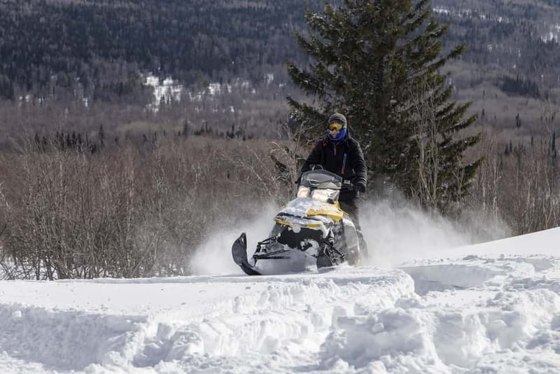 Zakopane: Snowmobiles (or Quads), Thermal Pools & Tasting - Snowmobiles, quads, or a buggy ride