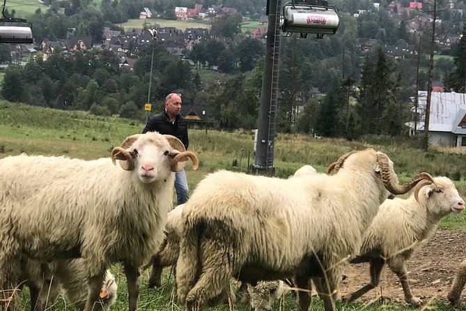 Zakopane & Thermal Pools - Customized Tour - Krupówki Street, cheese, crafts, and lunch