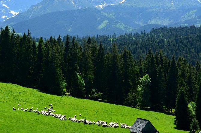 ZAKOPANE & THERMAL SPRINGS, Funicular, Cheese Tasting - Leaving Krakow between 8:30 and 9:00
