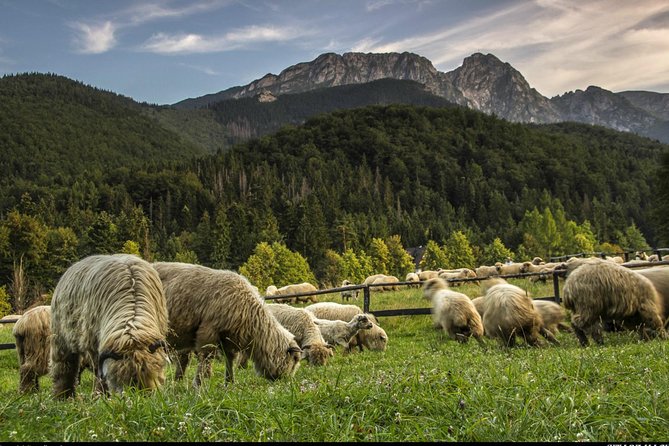 Zakopane & Thermal Springs: Private Tour - Riding the cable car to Gubałówka